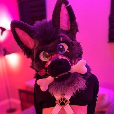 MidnightAD π MP, BLFC Profile
