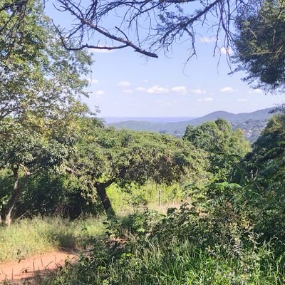 MissTaks's profile picture. 