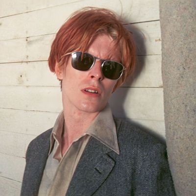 david bowie brain rot • multifandom! • against all oppression