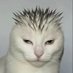 small creature (@salhosothoth) Twitter profile photo small creature (@salhosothoth) Twitter profile photo
