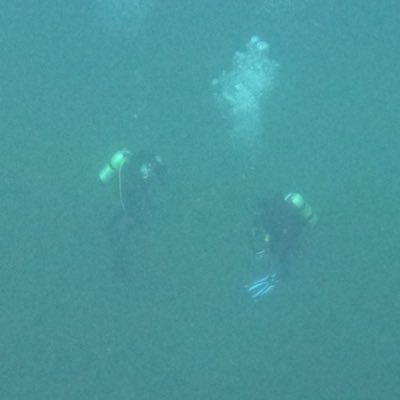 crabtrapoflife's profile picture. 