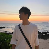 Lin Zihan (林子涵) (@lincryptoo) 's Twitter Profile