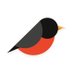 robin Profile picture