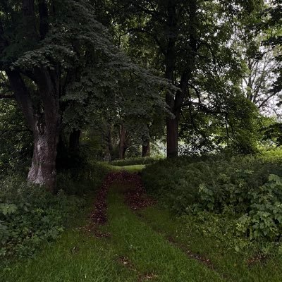 shawtyusosad's profile picture. 