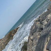 Blackpanther (@blablackpanther) 's Twitter Profile