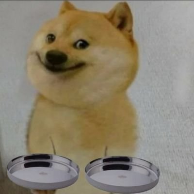 **DogeNut** is a playful and lighthearted memecoin that blends the beloved Doge meme with the fun of peanuts, creating a unique and engaging cryptocurrency