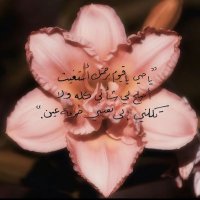 رحمَة🩵ྀིྀི (@sundaysbloom) 's Twitter Profile