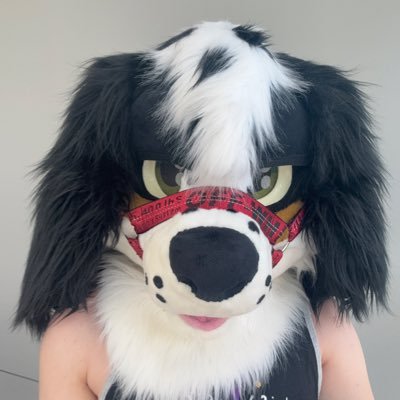 Rave dogg ☆🌈🐾 25, he/him, 🇨🇱, autistic, artist, fursuiter & furbanist AD: @naughtyblush vent: @blushpaws_