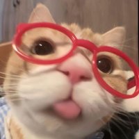 ยัยคุณหนูเอเอ ˗ˏˋ ♡ ˎˊ˗ (@aa_athii) 's Twitter Profile