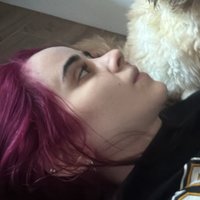 Dino Lohikäärme (@digorellixnz) 's Twitter Profile