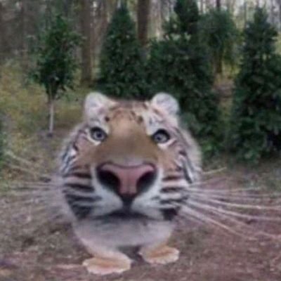 lleicobgz's profile picture. glz
2711
rcd, WWE, Pokémon, Digimon, Inazuma, genshin, Naruto...
ὁ φίλος τῶν λογῶν