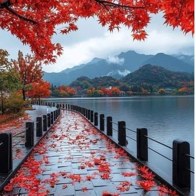 GhalebOmar28998's profile picture. Change direction