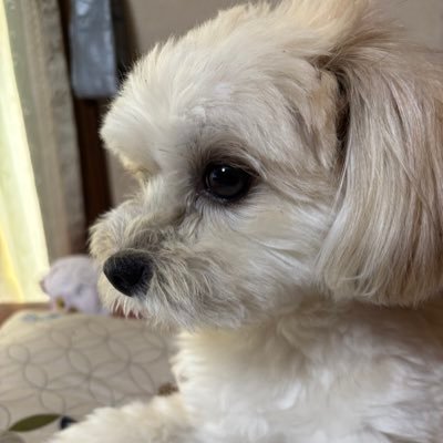 lZ57DRezP37149's profile picture. 