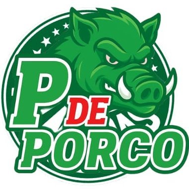 Diego Firmino - Canal P de Porco Profile