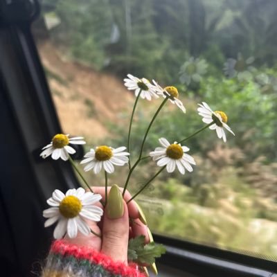 occi_1's profile picture. 