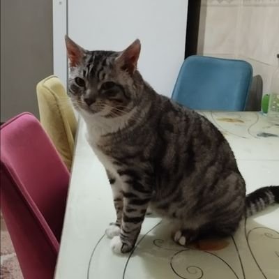 CigdemblkCigdem's profile picture. 