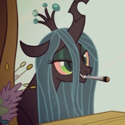 chrysalisfetus's profile picture. 𝜗𝜚 she/her 𝜗𝜚 ifb! 𝜗𝜚 cw 55kg 𝜗𝜚