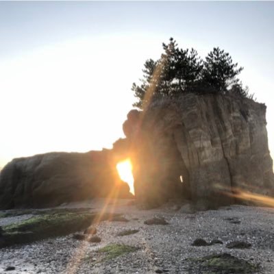 1wn3VMbnLo111's profile picture. 日常だけどきっと貴重な日々の記録