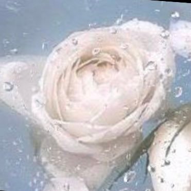 nami_kaminoeste's profile picture. 🧏🏻‍♀️🤍