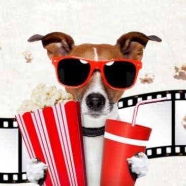 FilmesIv's profile picture. Aqui você encontra filmes e séries de lançamento. LINK DO GRUPO: https://t.co/Mfc1qHb4uf