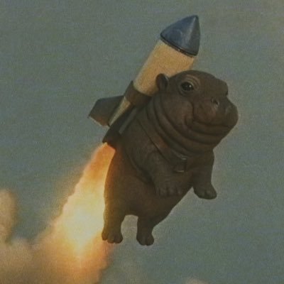 TheHouse_hippo's profile picture. Built for the community, run by the community. LP locked | 1% dev wallet locked | Renounced. Milestone 🔥 burns. ➜ https://t.co/kcO1u3HsMI