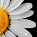 ูุนู
ุงู ุงูุญุงู
ุฏู (@sony5514) Twitter profile photo ูุนู
ุงู ุงูุญุงู
ุฏู (@sony5514) Twitter profile photo