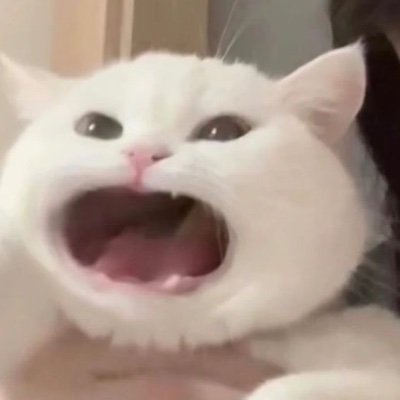 secondexi's profile picture. Pinkoo