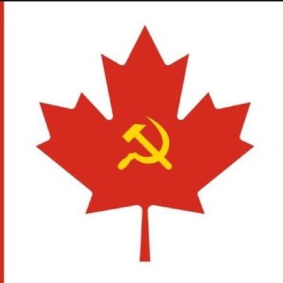 Cry4meSelena's profile picture. 