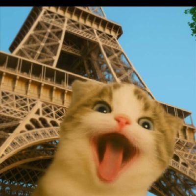 Hasanofan's profile picture. a crypto enthusiast