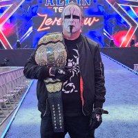 Joe (@doppelstinger) 's Twitter Profile