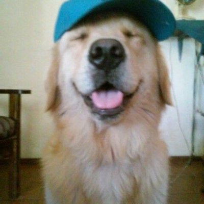 holap, soy editor/miniaturero
dm's abiertos
https://t.co/WYRUBIcnjo