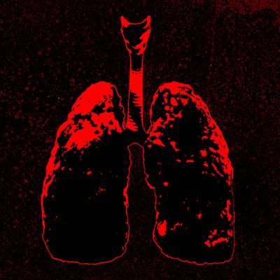 THE_FLESH1's profile picture. LIVING, BREATHING