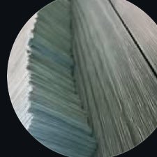 darelllikk's profile picture. THE BIGGEST  ♌️