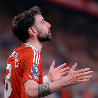 HusseinAmm81267's profile picture. 