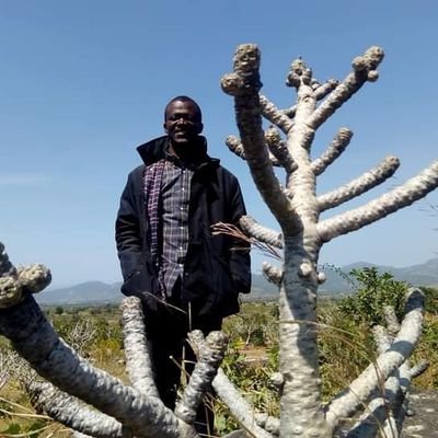 alvan_cn's profile picture. Building crypto adoption from the ground up. Layer0 first 🌍 NFA