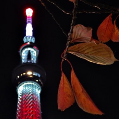 gameshitain's profile picture. こちらの垢は主にゲームの投稿をします！
本垢→ @minikuininngem