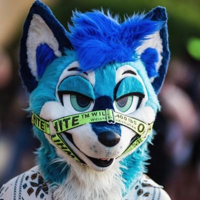 Dabba The Fox ๐ฆ ๐ TFS, ACFI Profile
