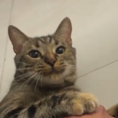 _nohaycafe's profile picture. 26 ♐ | Un amuleto en esta vida itinerante 💎