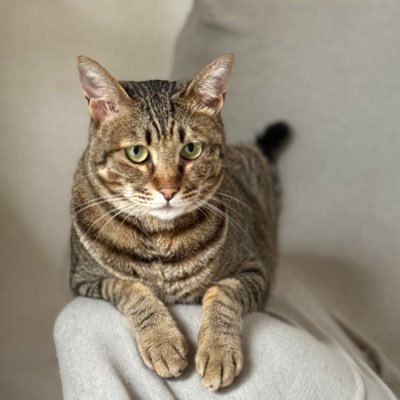 zaki_zakisan's profile picture. 魚を追いかけて東西南北津々浦々🎣 釣りはなんでもします。