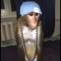mixey (@mixeyfn) 's Twitter Profile