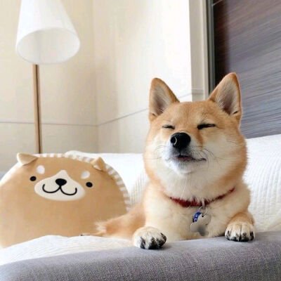 xzhnxn171502's profile picture. 