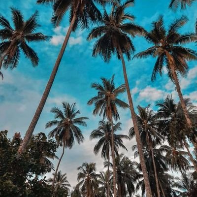 pvt_aurelius's profile picture. .dawgside🍆👅👅