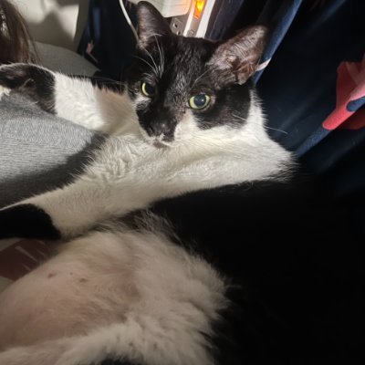 KASTERLAI's profile picture. 就是個DD四處遊蕩