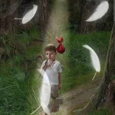 Davi6383188's profile picture. 