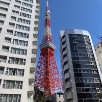えすくん (@q39luck) 's Twitter Profile