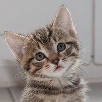 توني (@alotubi01) 's Twitter Profile Photo توني (@alotubi01) 's Twitter Profile Photo