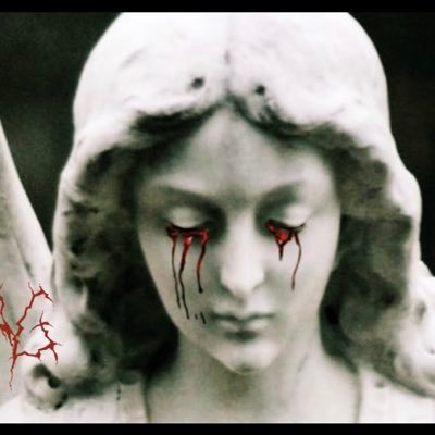 cashcoin222's profile picture. next 10000000x⚡️TOP NEW CRYPTOCOIN ON SOLANA