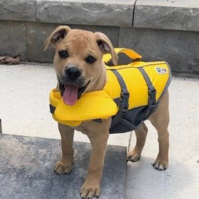 Float Dog here to save you from drowning in the trenches. CA: DMuQkDTcdcTGK1akQbMVkTuxcPcB8XJgHL1bBVCwv4Uh