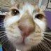 Snoots GC (@snoots_gc) Twitter profile photo Snoots GC (@snoots_gc) Twitter profile photo