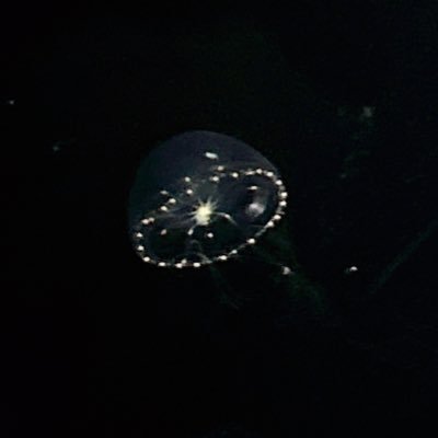 成人済(25↑) ttg専用 🧲、💣 https://t.co/aElEKyqtFo / https://t.co/b24FtWUbYn